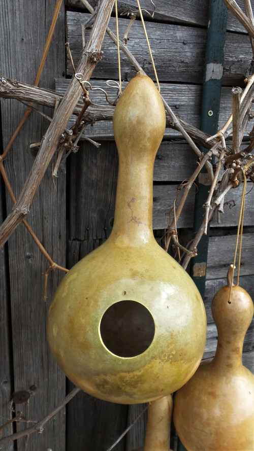 Budka z tykve V. — foto 2