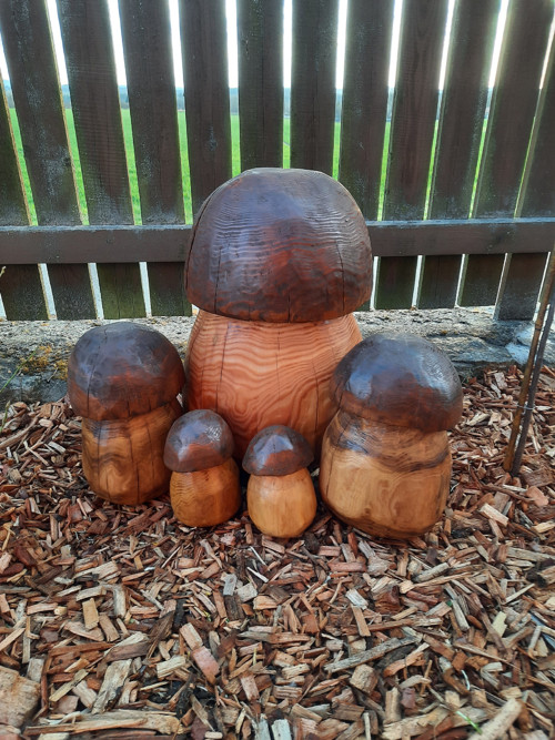 Hříbek — foto 4