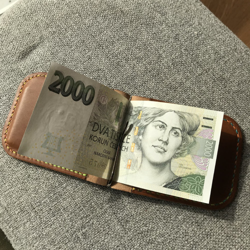 Dolarovka duhová — foto 3