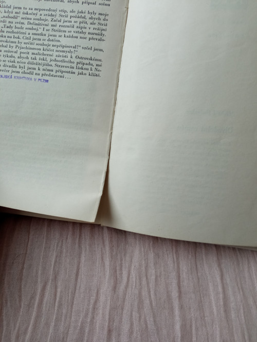 Divadelní román - Michail Bulgakov — foto 6