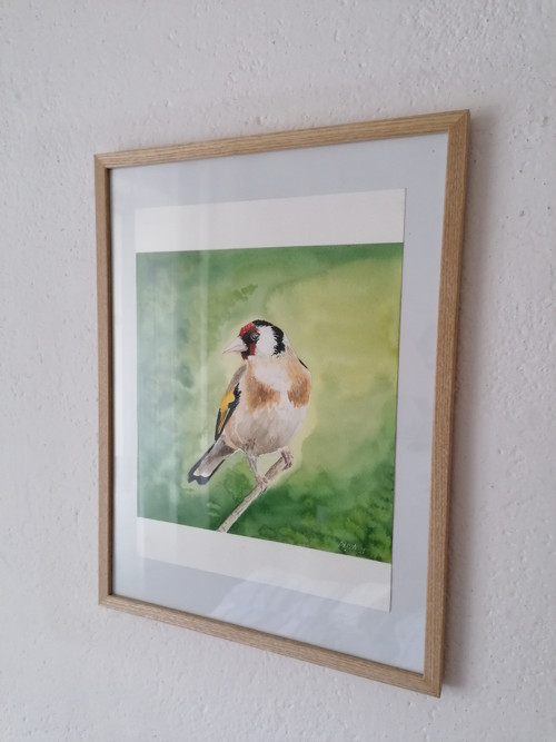 Stehlík — foto 5