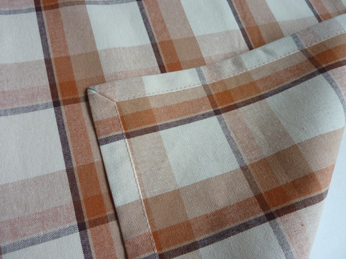 Běhoun Káro v hnědé — foto 4