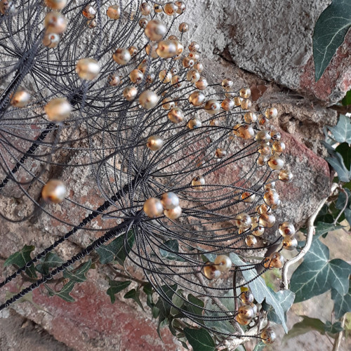 Bedrníček - hnědý zemitý — foto 2