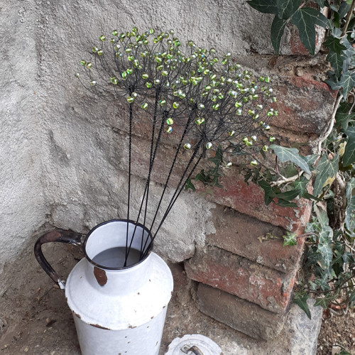Bedrníček - zelený s leskem — foto 3