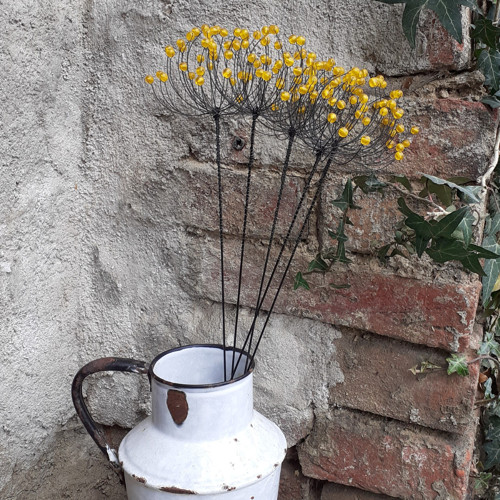 Bedrníček - žlutý matný — foto 3