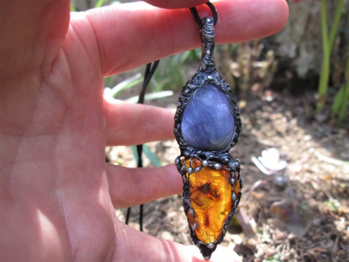 Talisman ,, Africké slunce " — foto 2