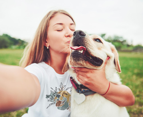 Tričko DOG IN MEADOW ︎ — foto 6