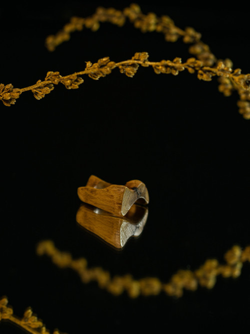 Prsten z révy, SVG. XI — foto 2