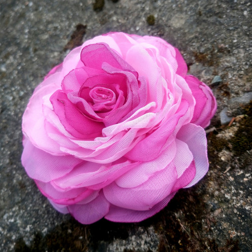 Pink — foto 2