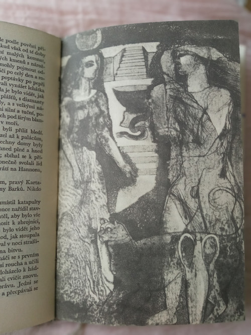 Salambo - Gustave Flaubert — foto 4