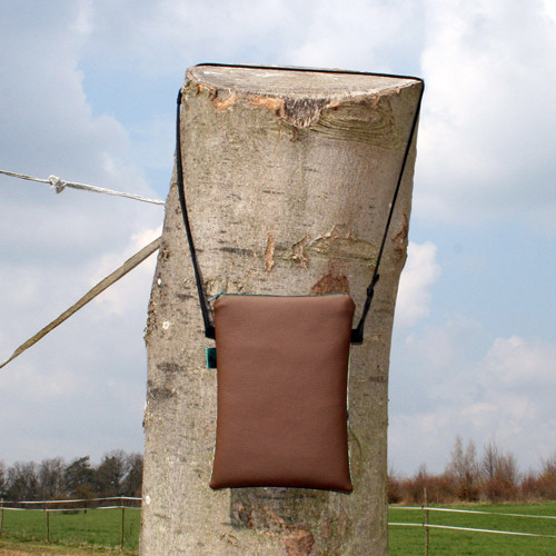 MINI MESSENGER Štěně jezevčíka — foto 2