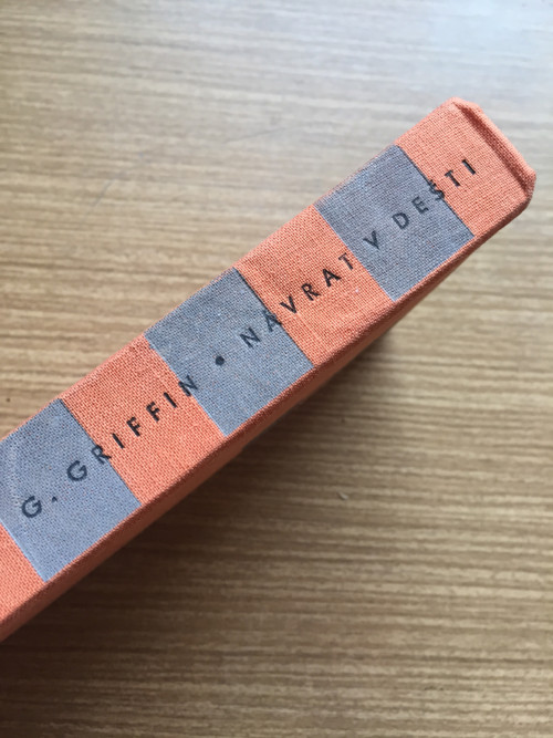 Gwyn Griffin "Návrat v dešti" — foto 2