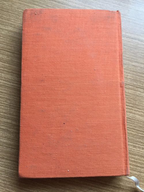 Gwyn Griffin "Návrat v dešti" — foto 3