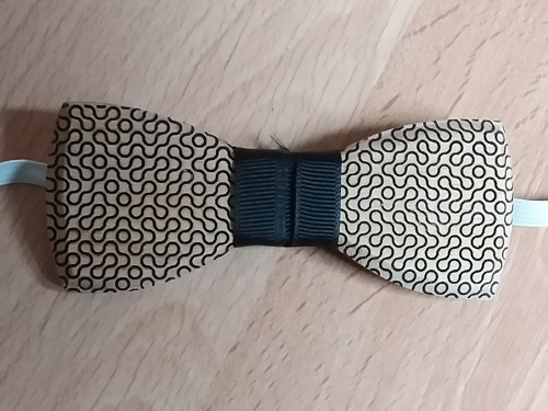 Motýlek vzorovaný — foto 2