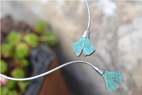 Ginko — foto 3