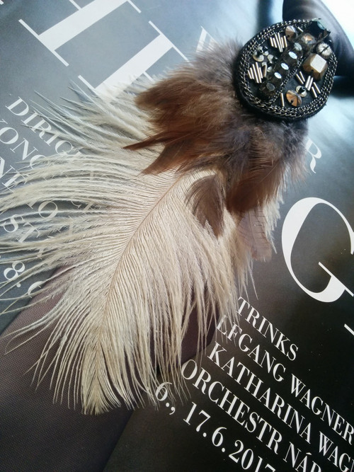 Ostrich cocoa — foto 5