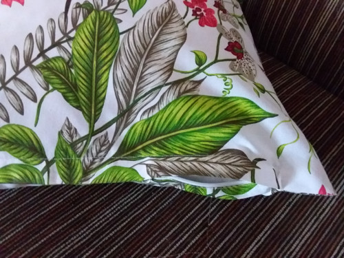 Povlak orchideje — foto 3