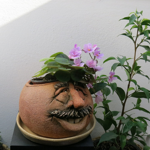 KVĚTNÍK-VALOUN..... — foto 2