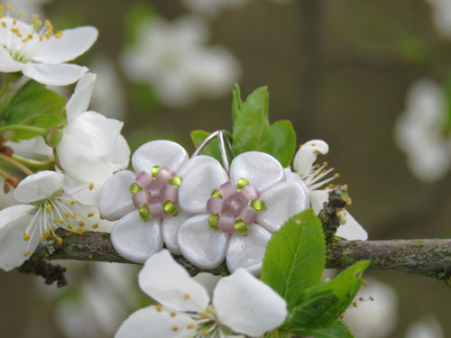 Třešňové kvítky — foto 3