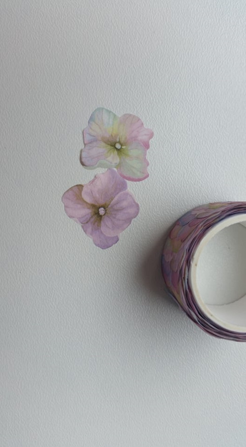 Washi páska samolepek. Kvítky hortenzie.... — foto 2