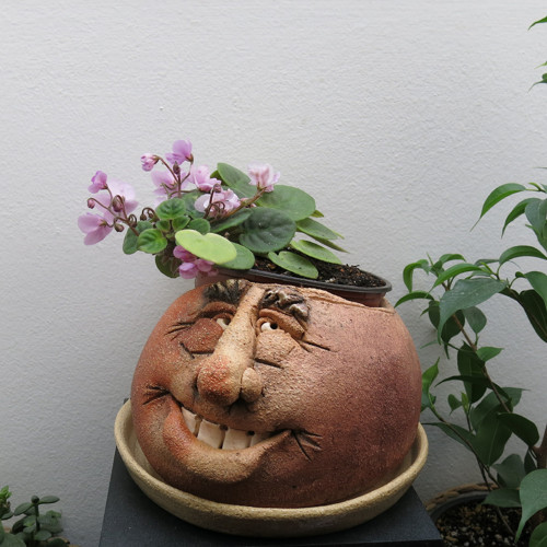 KVĚTNÍK-VALOUN..... — foto 2