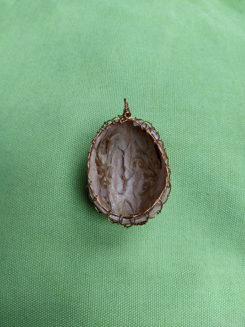 Odrátovaná skořápka — foto 2