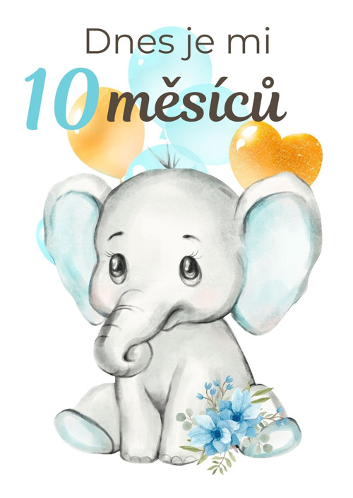 Milníkové kartičky - pro chlapečka — foto 3