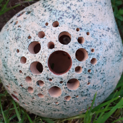 Poupě — foto 6