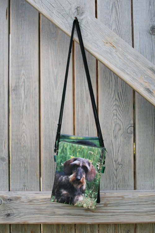 MINI MESSENGER Drsnosrstý jezevčík — foto 2