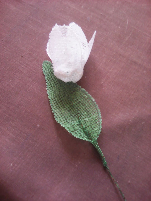 Tulipánek 1 — foto 3
