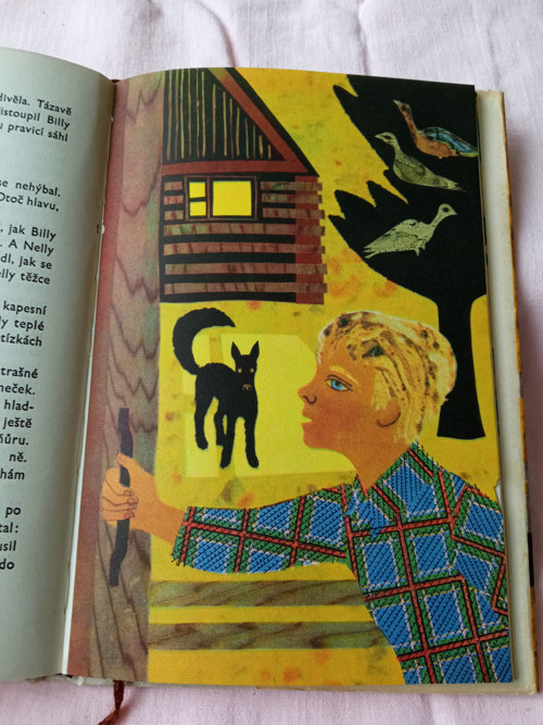 Ryzáček - John Steinbeck — foto 2