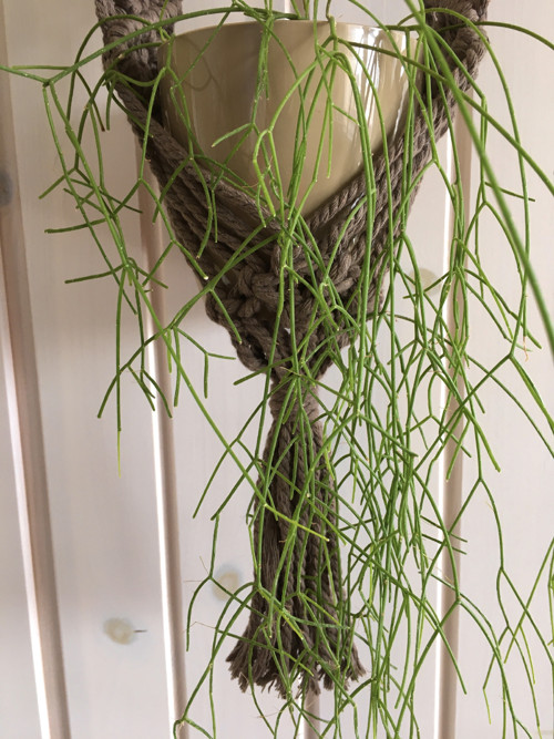 Macramé závěs na květinu — foto 3