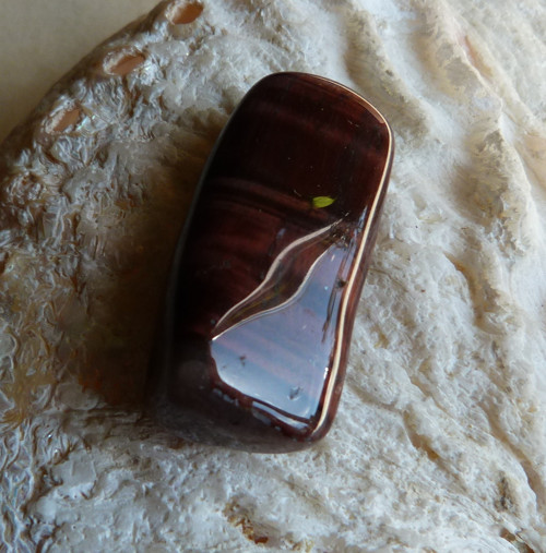 Býčí oko - 3,5 cm - Extra — foto 6