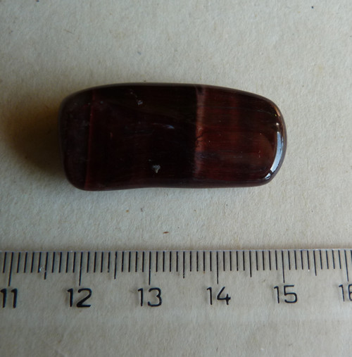 Býčí oko - 3,5 cm - Extra — foto 3