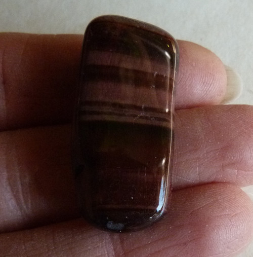 Býčí oko - 3,5 cm - Extra — foto 5