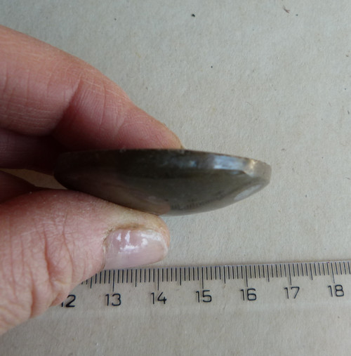 Amonit - 4,5 cm — foto 4