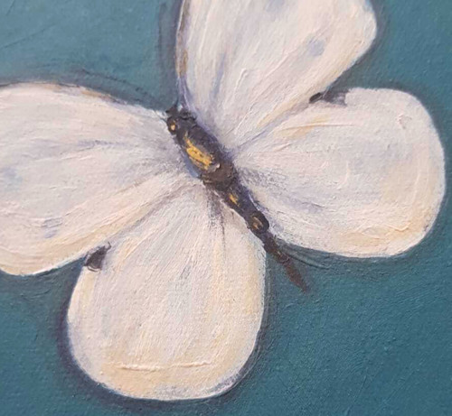 Pieris brassicae / 20 x 20cm / plátno — foto 3
