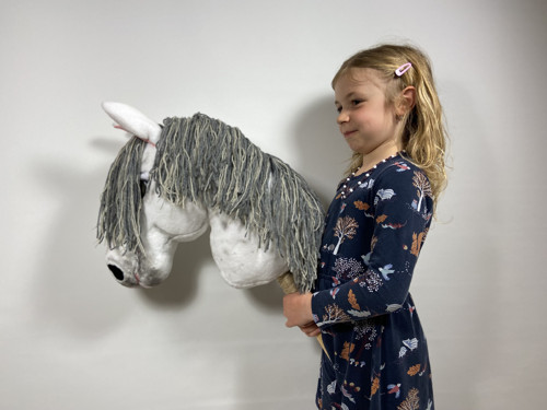 Pro milovnice HOBBY HORSE — foto 3