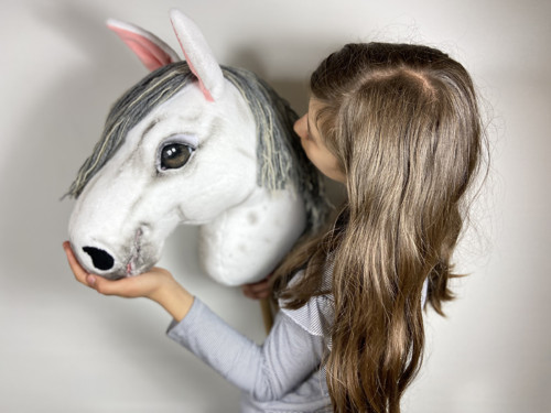 Pro milovnice HOBBY HORSE — foto 2