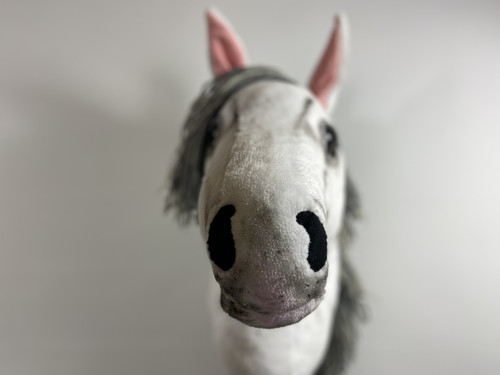 Pro milovnice HOBBY HORSE — foto 5