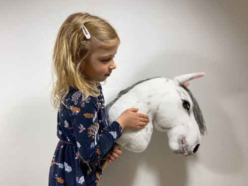 Pro milovnice HOBBY HORSE — foto 6
