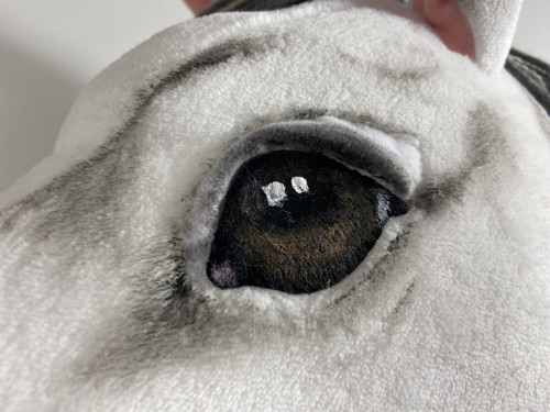Pro milovnice HOBBY HORSE — foto 4