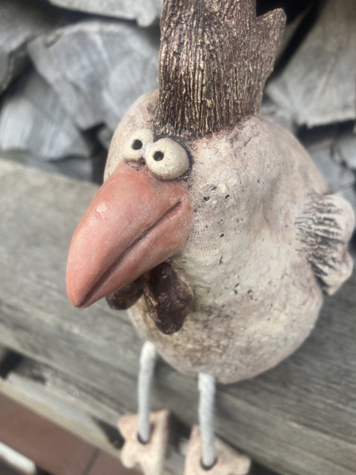 Slepice — foto 4