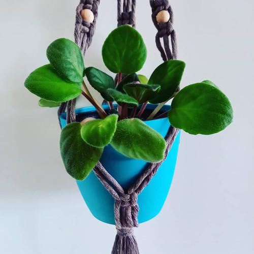 Závěs na květináč / macramé / mocca — foto 4