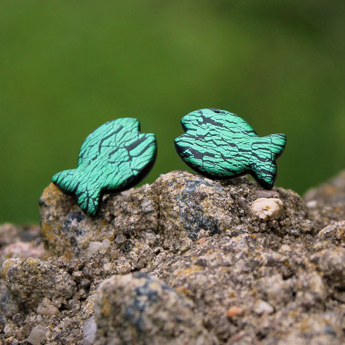 Fimo Rybky — foto 2