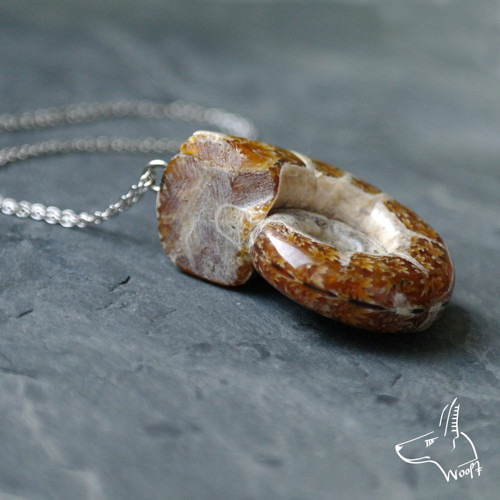Lazhvard (lapis lazuli) — foto 4
