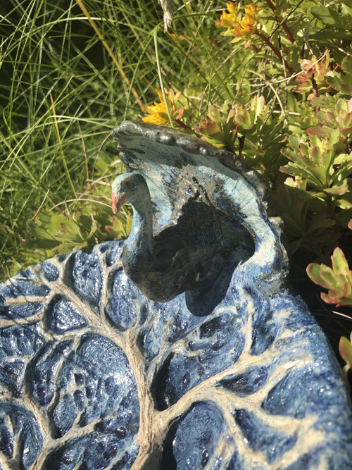Páv na stromě — foto 3