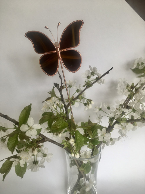Motýl — foto 2