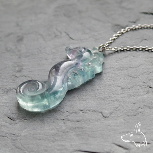 Fluoritový mořský koník — foto 2