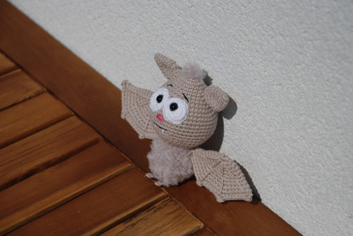 Netopýrek — foto 2